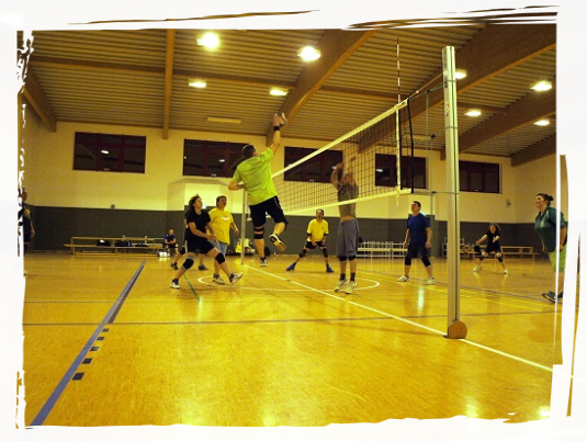 Volleyball
